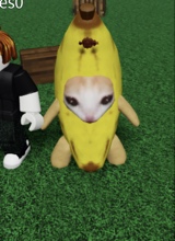 iwisertic