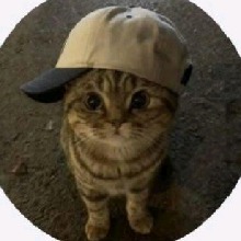 Guest_loidkash1235678