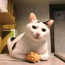 Guest_luanaxx11