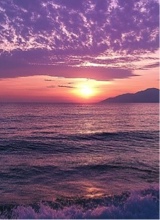 Guest_ocean732487