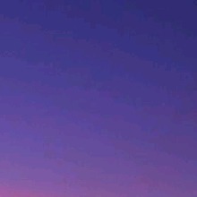Guest_Ainbo1