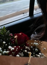 Guest_Nisa499166