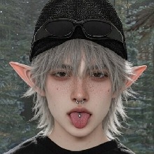IlDINOlI