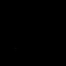IlDINOlI
