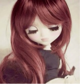 Guest_Xim311