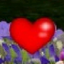 Guest_Ocelyn1
