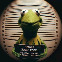 Guest_ZACKWILD1