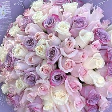 Guest_Gaby338302
