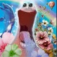 iceykyoto