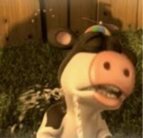 llPookiell