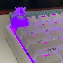 Guest_Race24