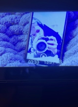 Guest_bopdetector