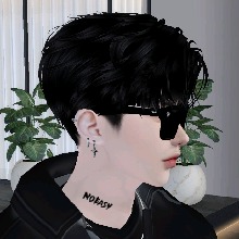 Guest_ASTER1688