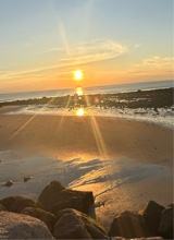 Guest_Bailey592319