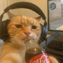 Guest_SoyRazber