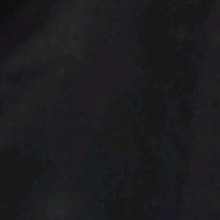 Guest_Briant25