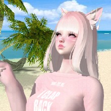 Guest_YimaQwQ