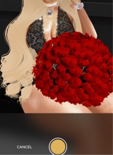 Guest_YANNA494941