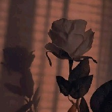 Guest_ArianneAlmeida1