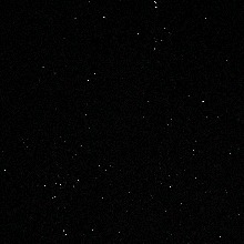 Guest_LeonBzc1