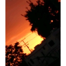 Guest_Jackie192866