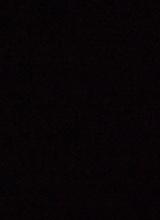 Guest_hxfeezoux02