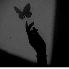 صورة الـavatar