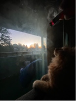 Guest_MariaNavas1