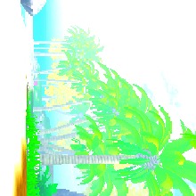 Guest_Soccer3