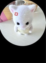 Guest_jujjjjhu987