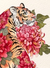 immagine avatar