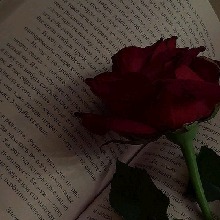 Guest_Mayla238694