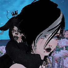 Guest_Pirky13