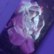 Guest_Poodles2