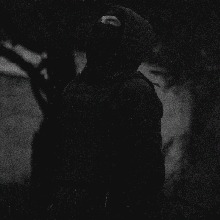 Guest_Alex691037