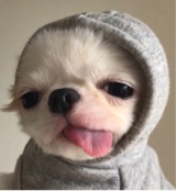 Guest_Cutiepanda818