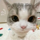 Guest_loviee6