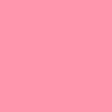 Guest_Lua322469