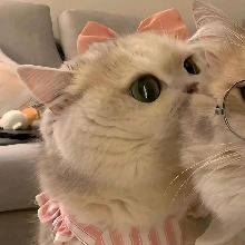 Guest_lahyiis