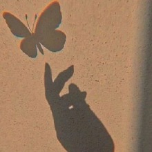 صورة الـavatar