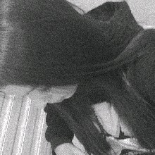Guest_Loirinha2442