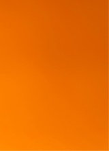 Guest_QueshaBricePrettybla