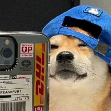 Onixz1