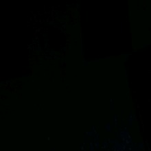 Guest_FKCO13