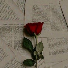 Guest_mariana0904