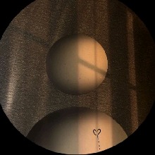 Guest_Claritahastag