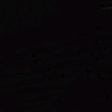 Guest_Marrenta00