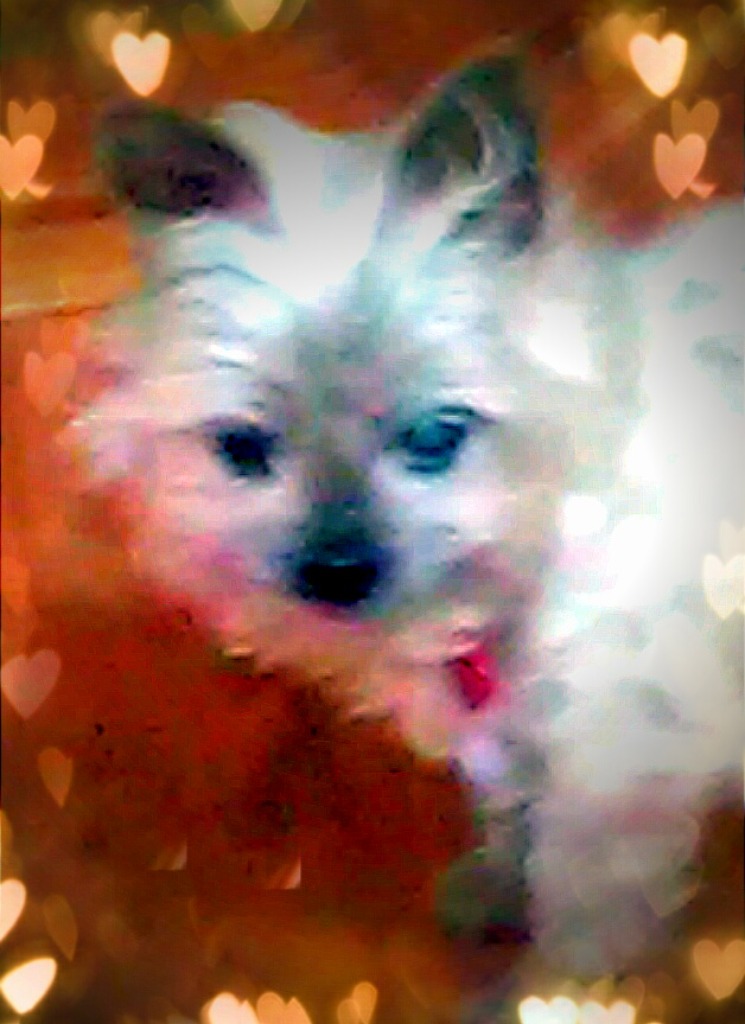 Guest_Sitama1