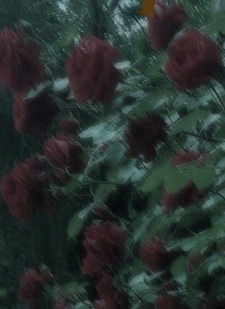 Guest_CD4L