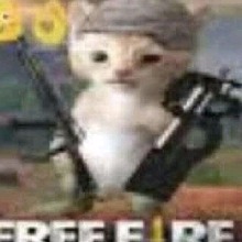 Guest_Thomaszzs